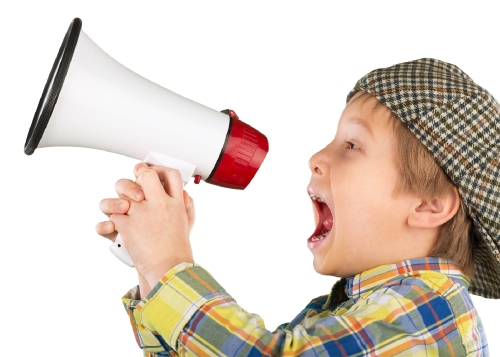 VoiceBlast in action